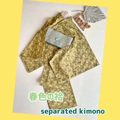 セパレート着物 カラシ色の紬